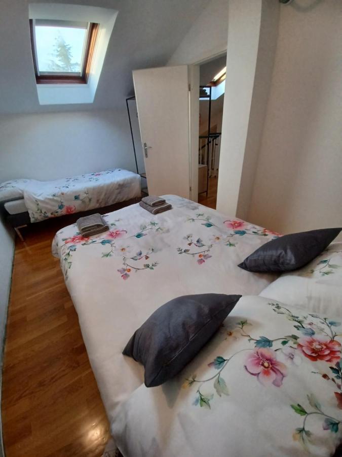Stunning New Apartment In Centre Of Buzet Extérieur photo